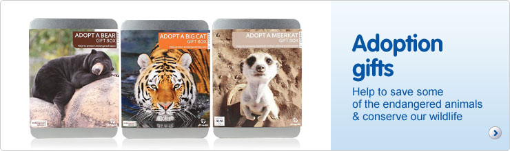 Adoption Gifts